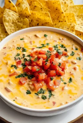 Rotel Dip